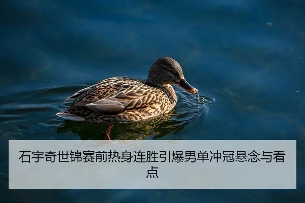石宇奇世锦赛前热身连胜引爆男单冲冠悬念与看点